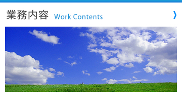 業務内容 Work Contents